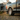f150 wheels , with beadlock for drag racing, comes in 6x135 wheels with floating caps, polished on a 3/5 drop truc, perfect for drag racing wheels
