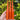 20 pc 12x1.5 illusion tangerine spike lug nuts 6 inch xl tall powder coated durable coating prismatic powder coating